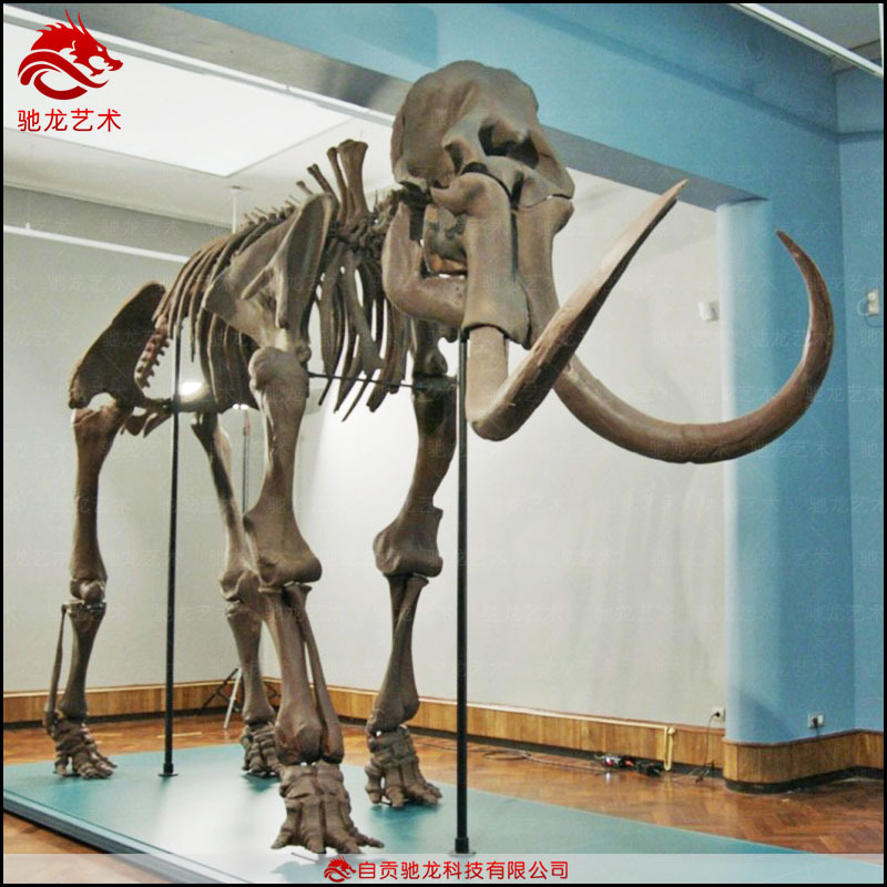 仿真猛犸象骨架化石米古生物骨架科普模型定制博物馆美陈展品