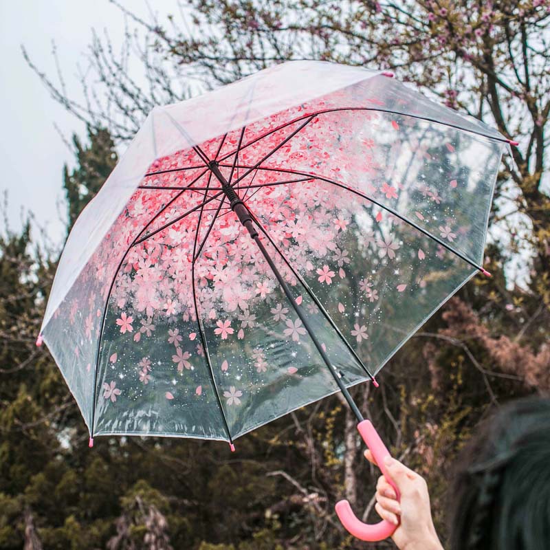 唯美女生用长柄透明樱花雨伞高颜值小清新好看街拍长柄伞