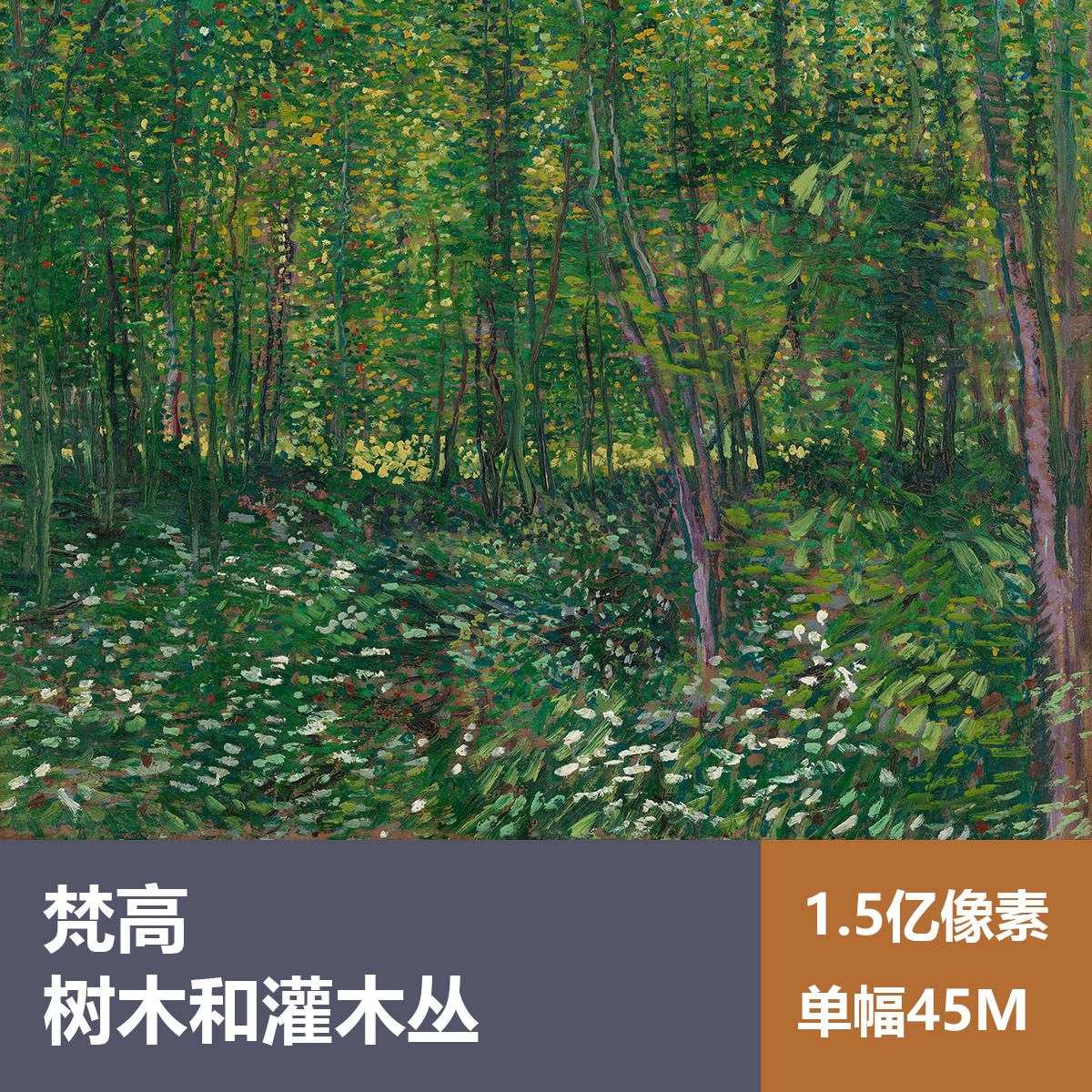 树木和灌木丛梵高高清油画原版作品装饰画喷绘图片素材