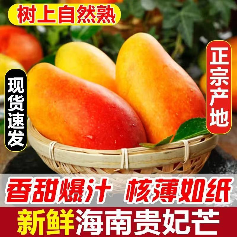 海南贵妃芒果送礼级特大果5斤装新鲜水果当季树上熟15年老树芒果