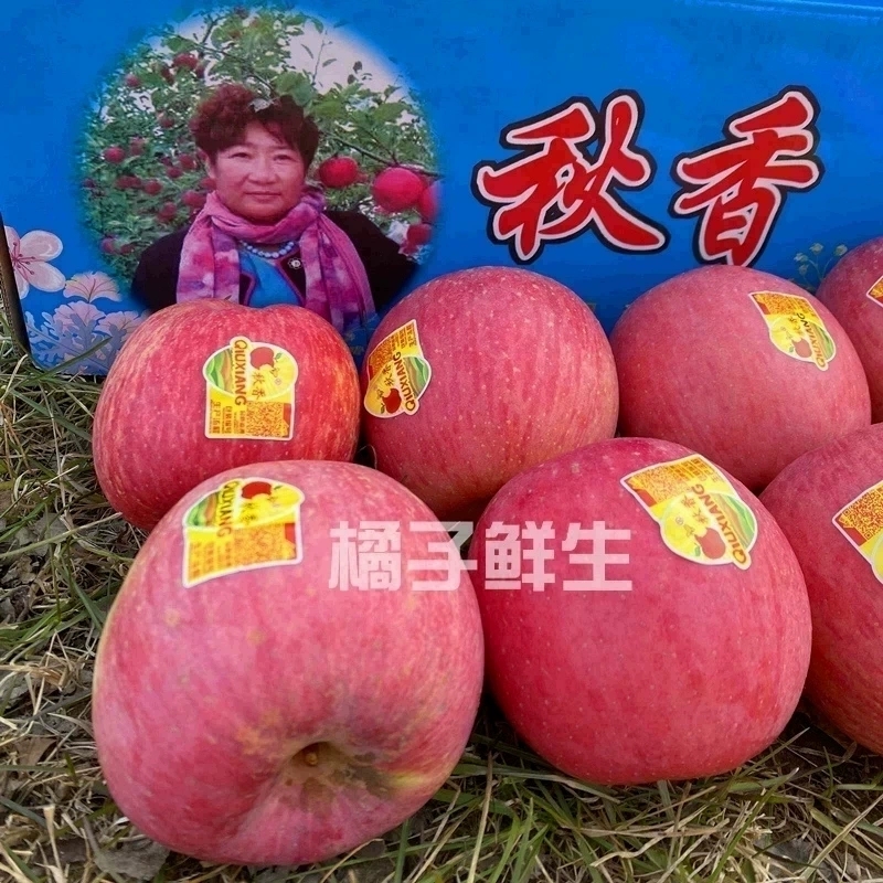 栖霞红富士苹果秋香苹果礼盒净果8斤15个装 时令水果山东大苹果
