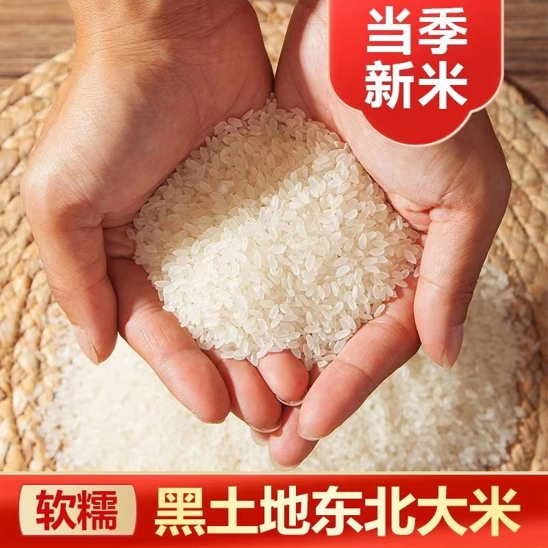 东北大米珍珠米5斤装小包装农家米一级陈米