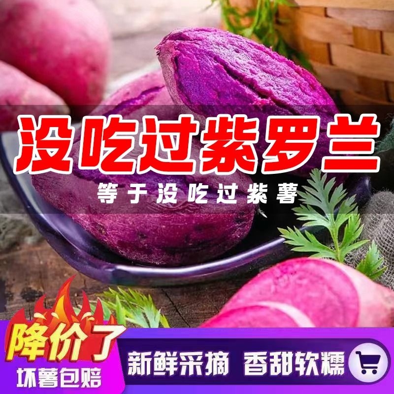 紫薯新鲜地瓜紫心红薯现挖沙地蜜番薯山芋农家紫罗兰应季蔬菜包邮
