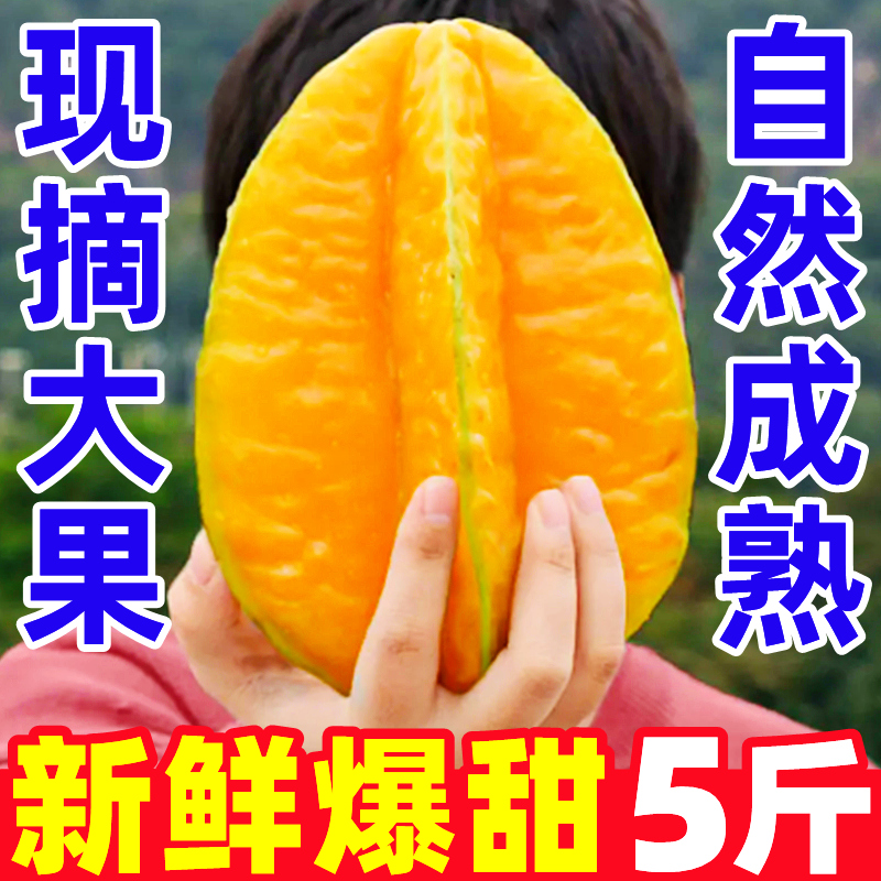 福建漳州甜杨桃新鲜水果5斤应当季杨扬洋阳桃特大果树上熟整箱10