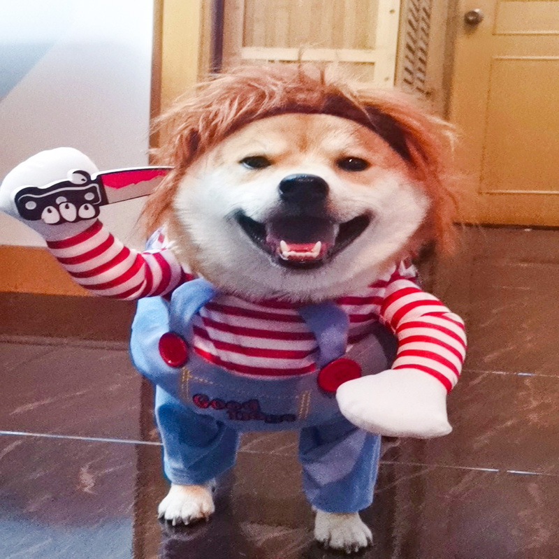 网红抖音宠物狗狗创意搞怪个性搞笑衣服宠物派对用品装饰