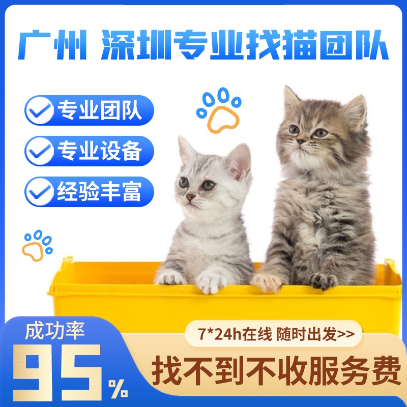 找不到不收费 专业寻找丢失猫咪 广州深圳找猫专业寻猫团队猫丢了
