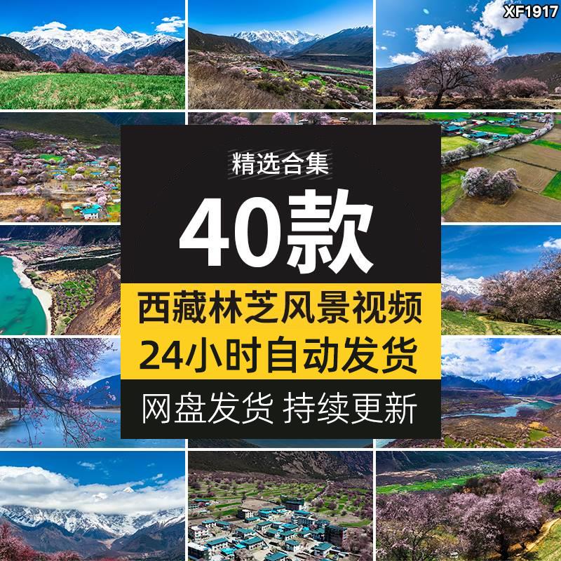 西藏林芝风光桃花节波密桃花沟藏族村落风景旅游景点高清视频素材