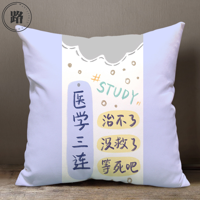潮流文化学科专业周边同款抱枕头文字汉语言定制靠垫含枕芯手办