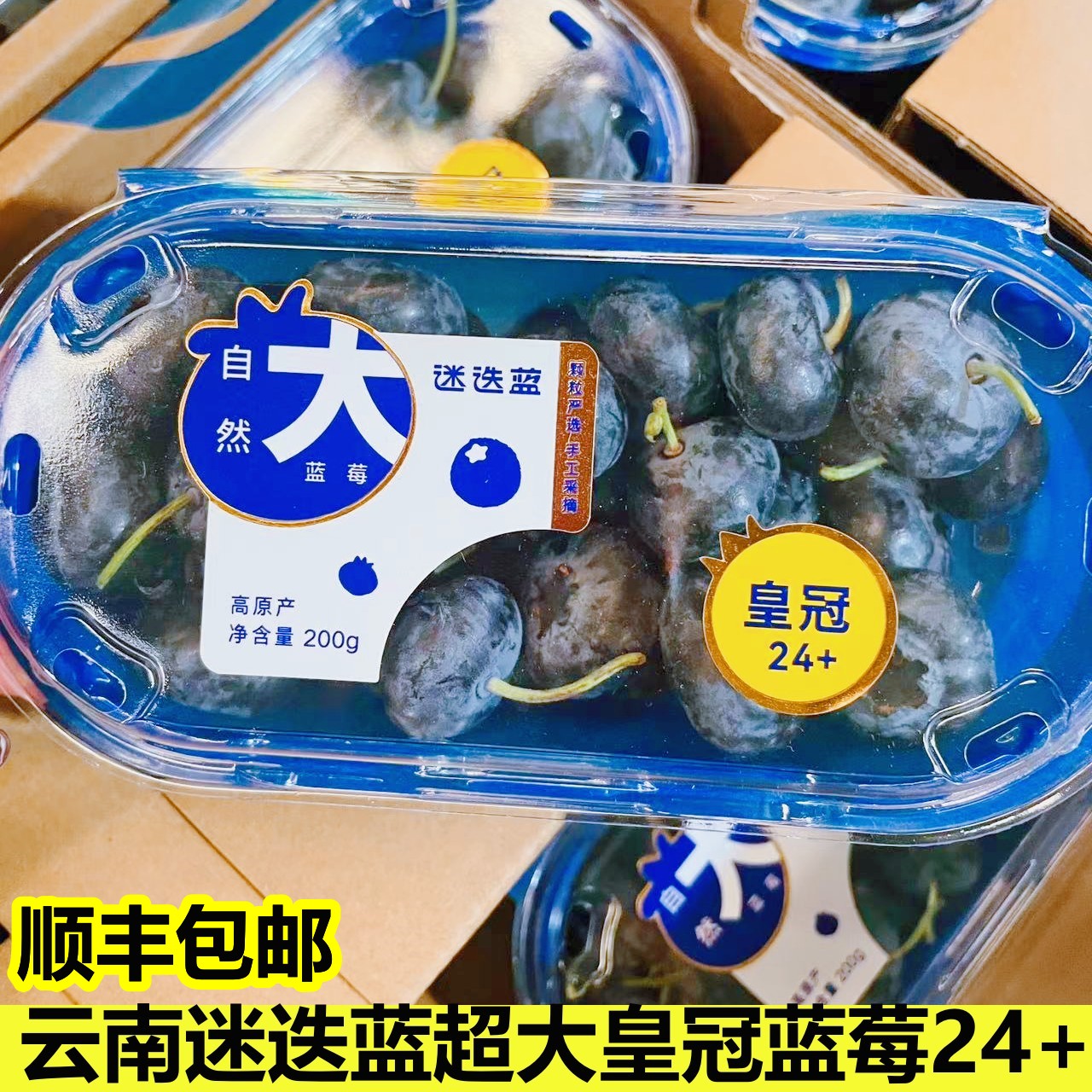 云南蓝莓王12盒24+头茬大蓝莓爱莓庄云南高山蓝莓迷迭蓝顺丰包邮