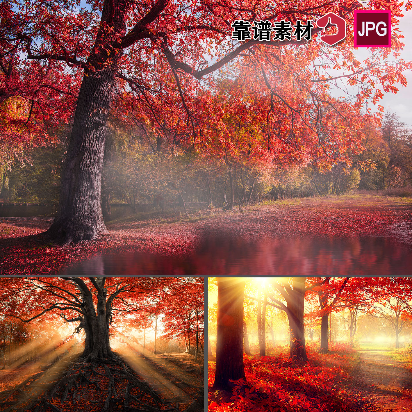 秋天秋色红色树林大树风景壁纸装饰画高清图片JPG设计素材