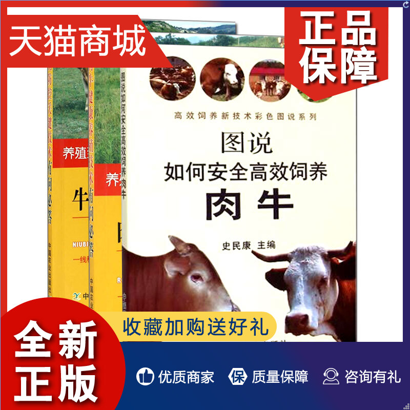 正版 肉牛养殖技术书籍全3册 养牛书籍大全图说如何安全饲养肉牛+肉牛健康养殖技术+牛病防控关键技术有问答 养牛技术大全
