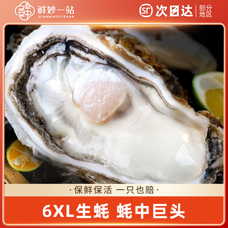 乳山生蚝鲜活10斤特大6XL蚝王牡蛎海鲜水产贝类新鲜海蛎子