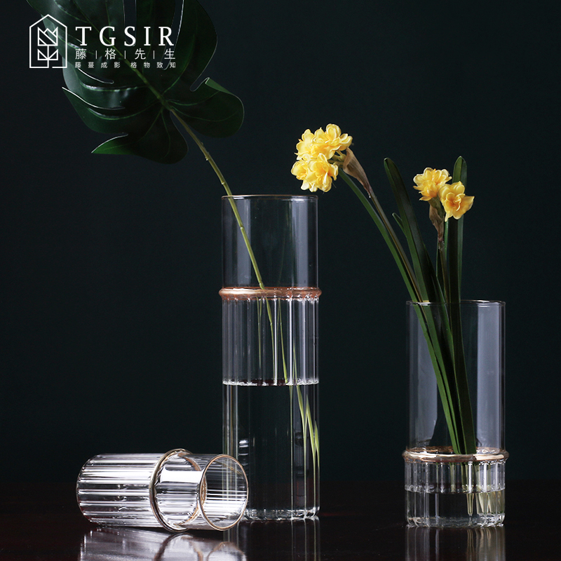 轻奢竖棱玻璃花瓶北欧客厅创意直筒圆柱透明水养插花小摆件装饰品