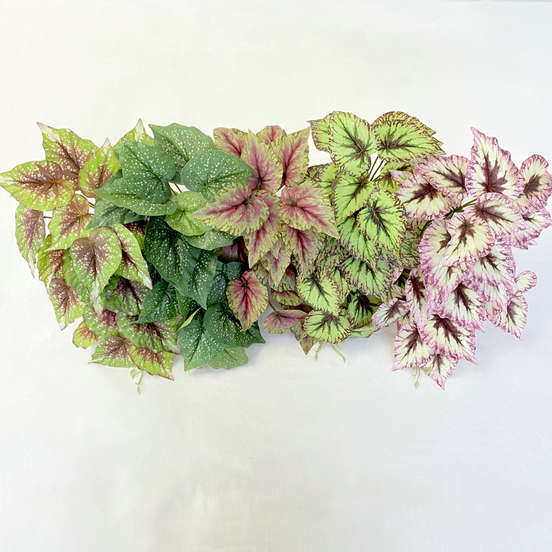 3D打印尖海棠壁挂 仿真植物墙绿植墙配材盆栽 摄影拍摄假叶子