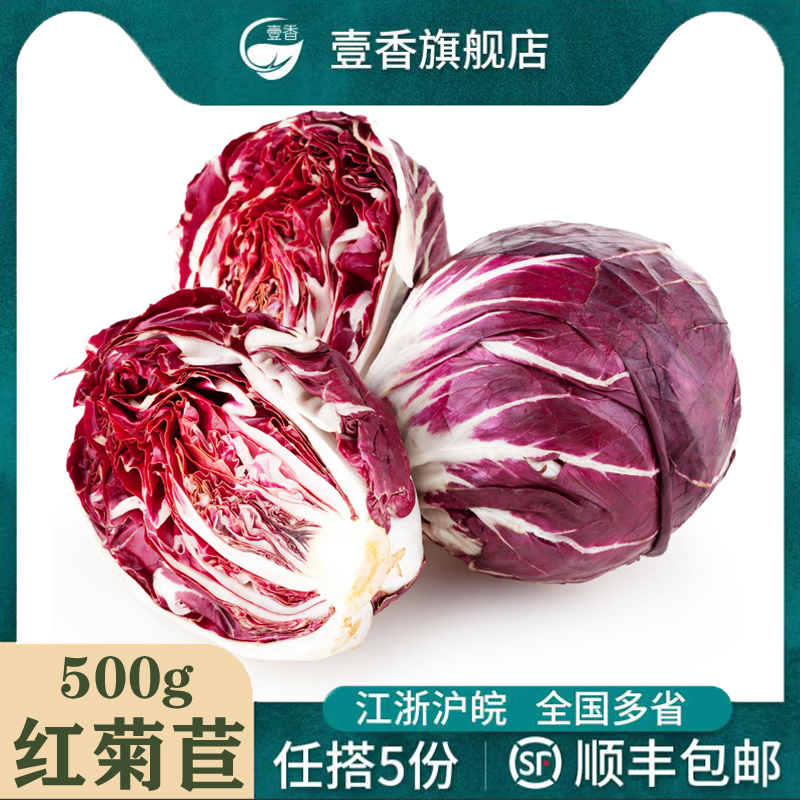 新鲜红菊苣500g 落地红球生菜紫苣 西餐蔬菜沙拉食材健身轻食配菜