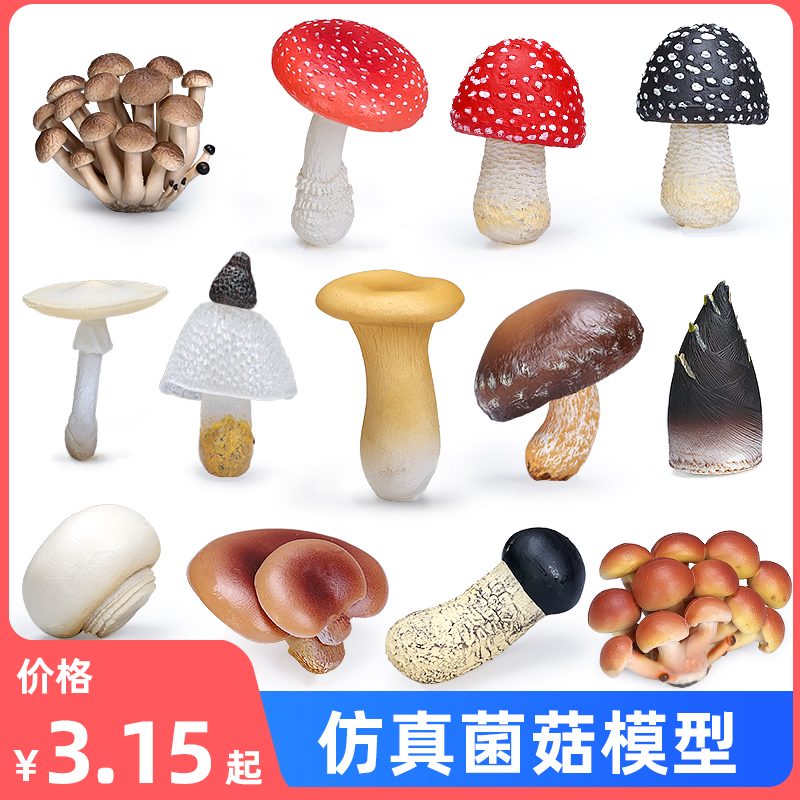 仿真野生蘑菇模型香菇玩具蔬菜松茸竹笋场景DIY造景摆件认知礼物