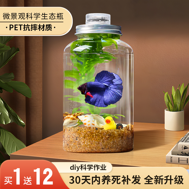 创意水族箱微景观生态瓶造景斗鱼缸办公桌面生态缸DIY造景鱼缸