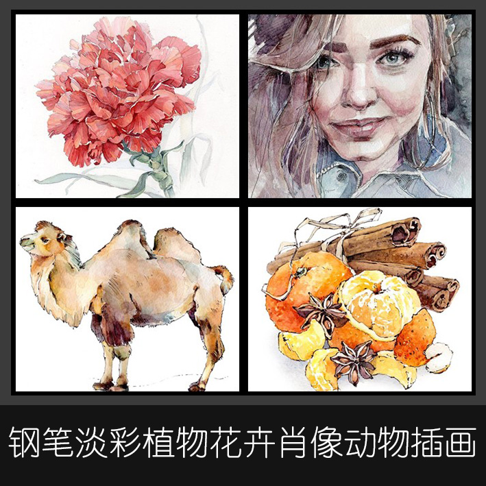 i01钢笔淡彩水彩花卉植物动物人物肖像lena266张临摹参考插画素材
