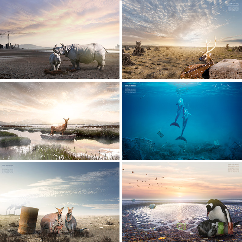 海洋生态海报