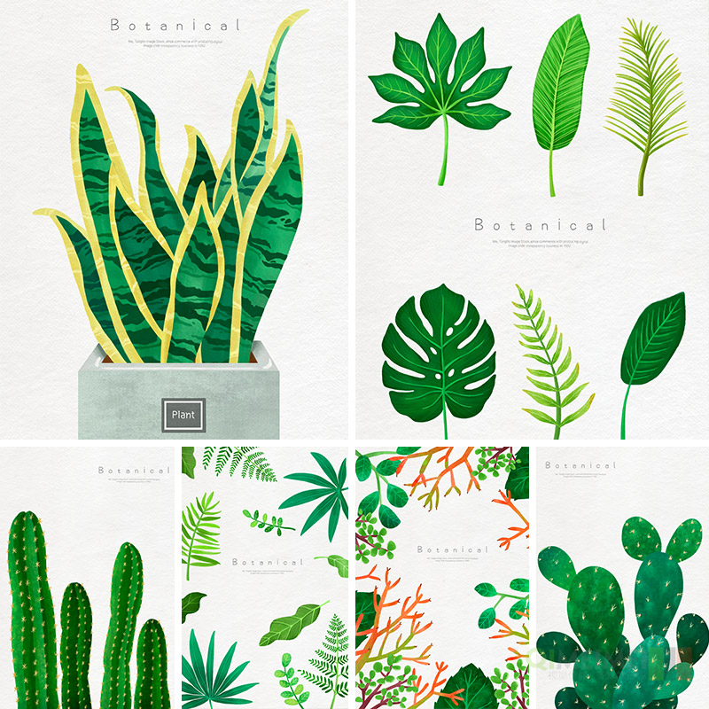 绿色热带草本植物鲜花仙人掌绿叶手绘插图绘画PSD设计元素材72304