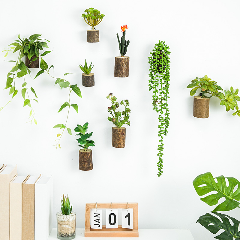 仿真多肉实木树桩组和背景墙饰壁饰创意简约立体植物挂饰墙面植物