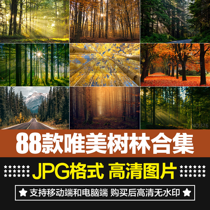 唯美树林小路森林风景阳光穿透绿叶红叶黄叶壁纸直播背景图片素材