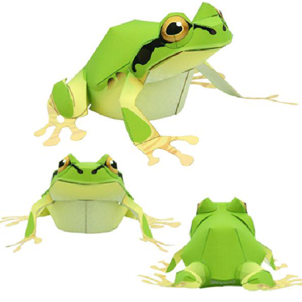 儿童手工折纸DIY拼装立体3D纸质模型雨蛙青蛙树蛙益智玩具制作