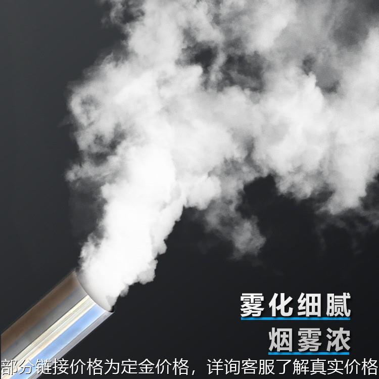 汽油脉冲弥雾机 公共场所消毒烟雾机 便携式消杀电动喷雾器