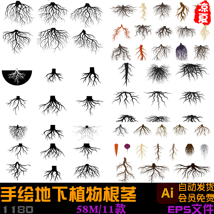 手绘地下植物根茎物根生长纤维树根分根剪影插画AI矢量设计素材