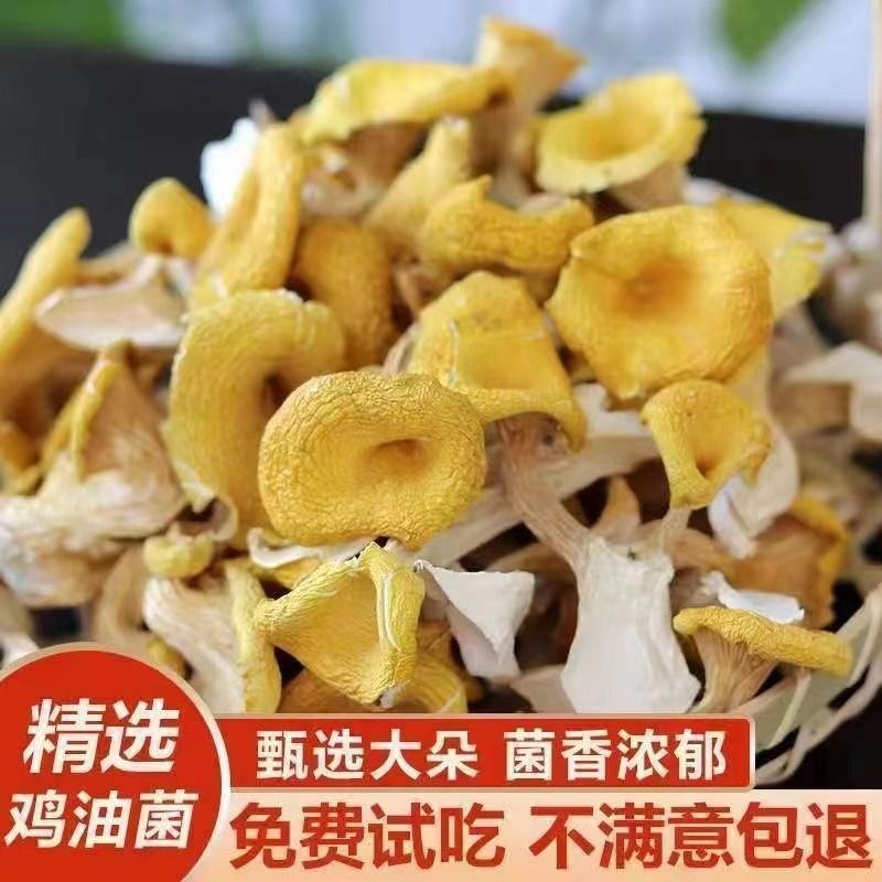 厂家直发古田黄金菇榆黄蘑鸡油菌干货500g包邮菌汤包食用菌煲汤料