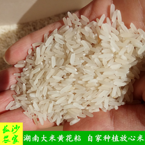 长沙农家【5斤】湖南晚稻米本地黄花粘长粒大米新米不抛光香软