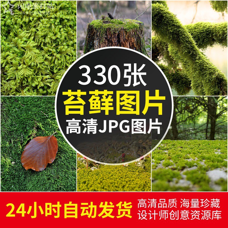 高清绿色植物摄影图片苔藓青苔地衣草2K4K设计喷绘打印合成ps素材