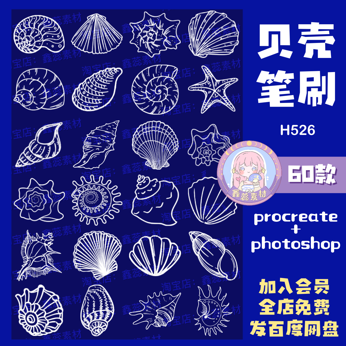 procreate笔刷ps笔刷贝壳线稿海洋生物海螺海星扇贝手绘贝壳笔刷