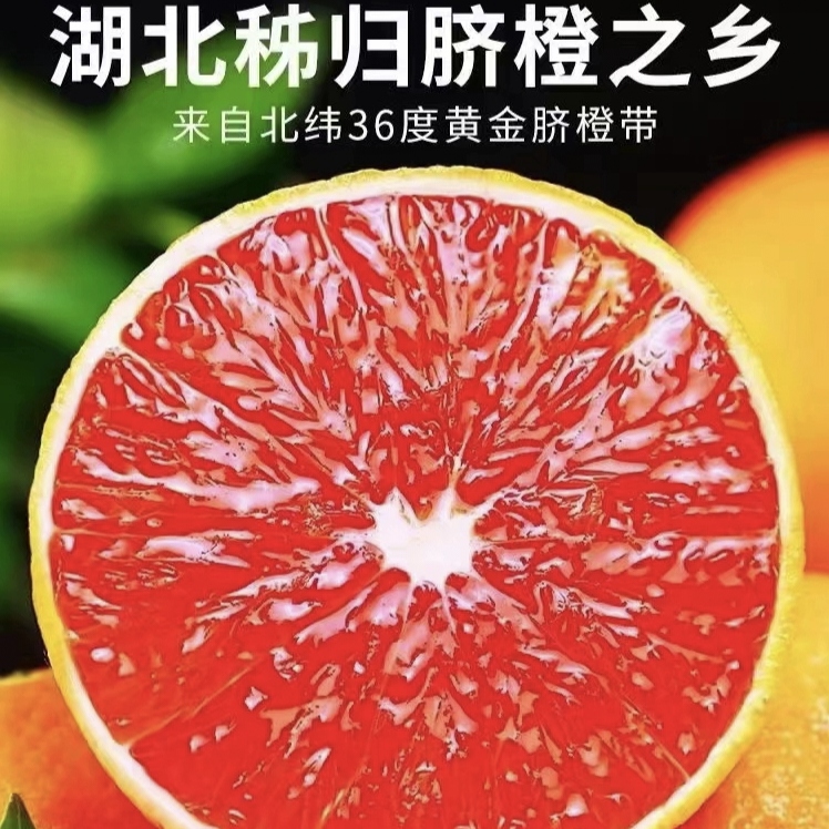 中华红橙秭归血橙红肉甜橙整箱手剥雪橙红心孕妇新鲜应季水果