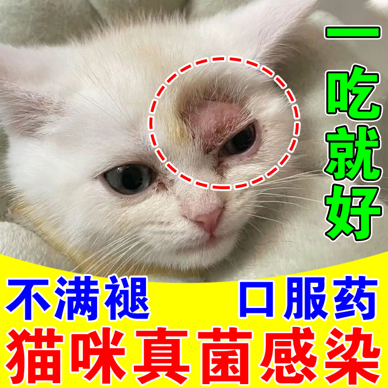 猫咪真菌感染口服药狗身上长癣脱毛皮炎耳朵发炎皮肤病猫藓专用药