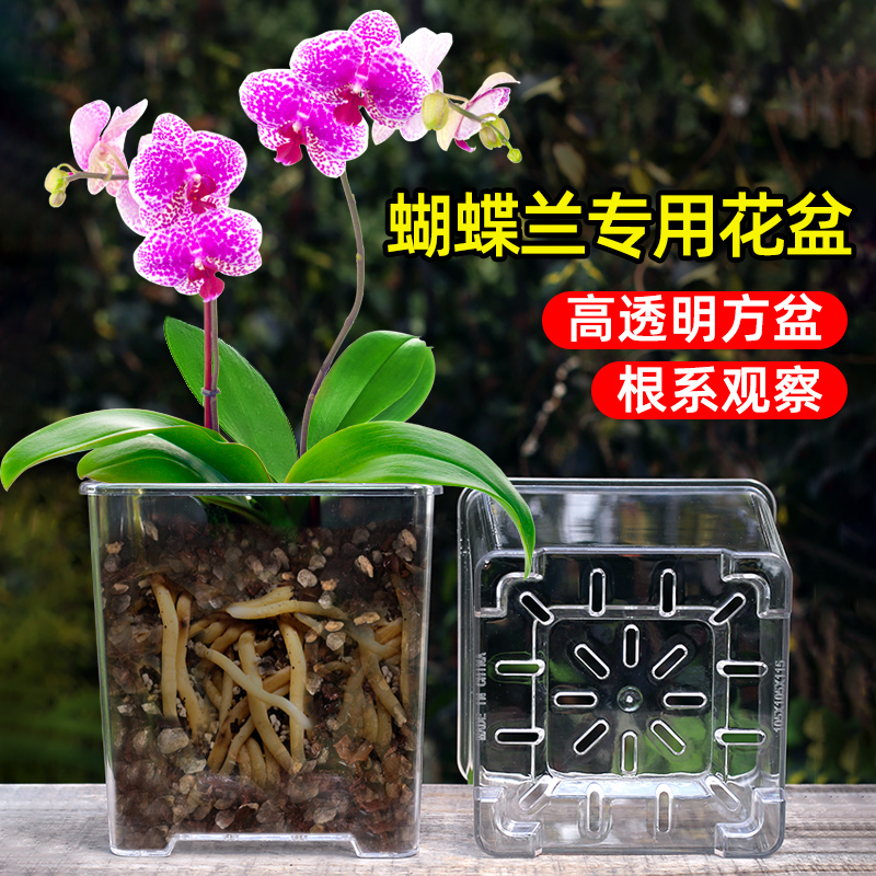 亚克力玻璃方形透明花盆塑料种植盆向日葵蝴蝶兰专用花盆家用套盆