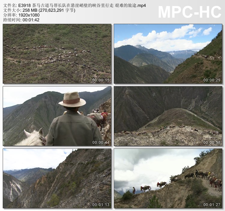 茶马古道马帮长队 悬崖峭壁峡谷里行走 艰难旅途高清实拍视频素材