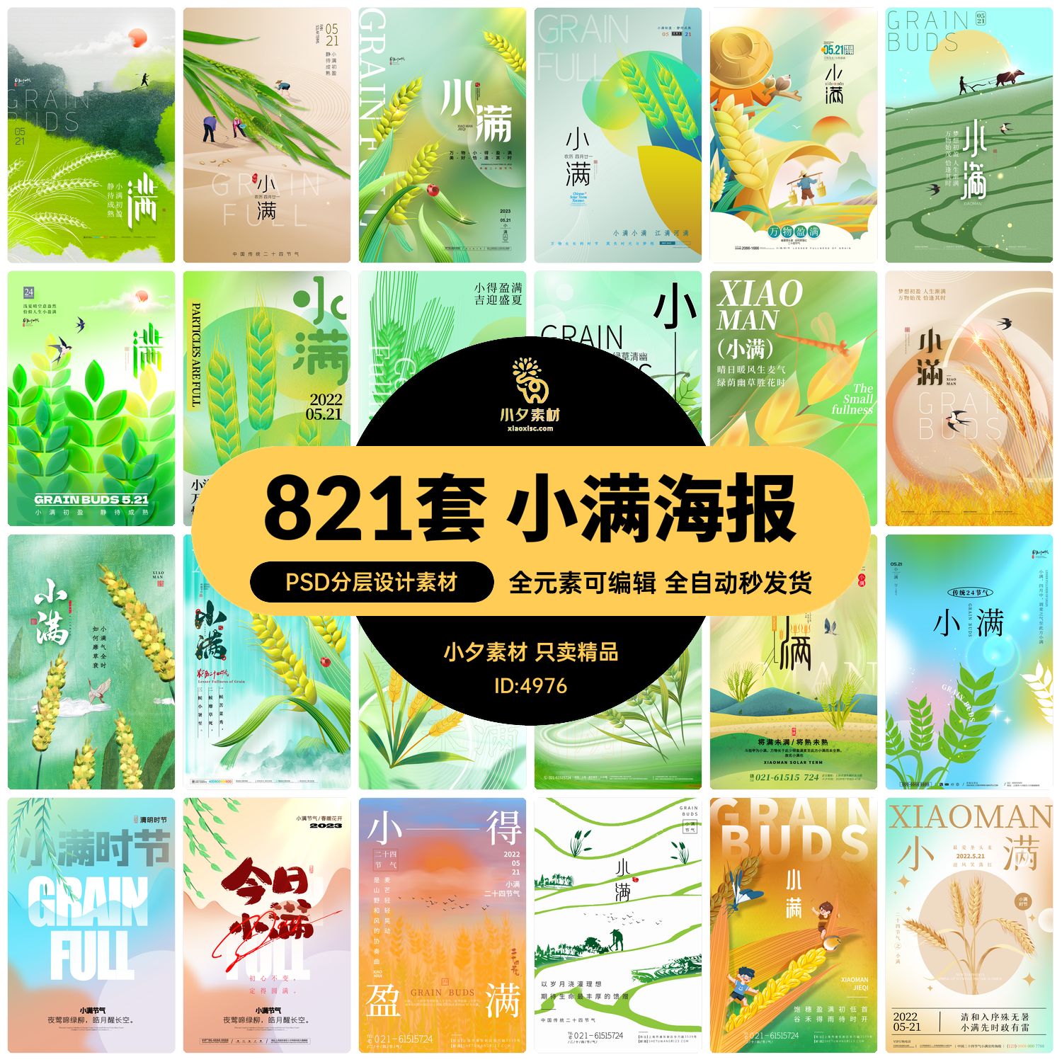 中国二十四24节气传统节日小满宣传海报展板模板PSD分层设计素材