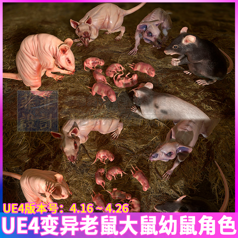 UE4虚幻4变异老鼠大鼠裸鼠肥鼠尖牙突变鼠幼鼠动物角色3D模型动画