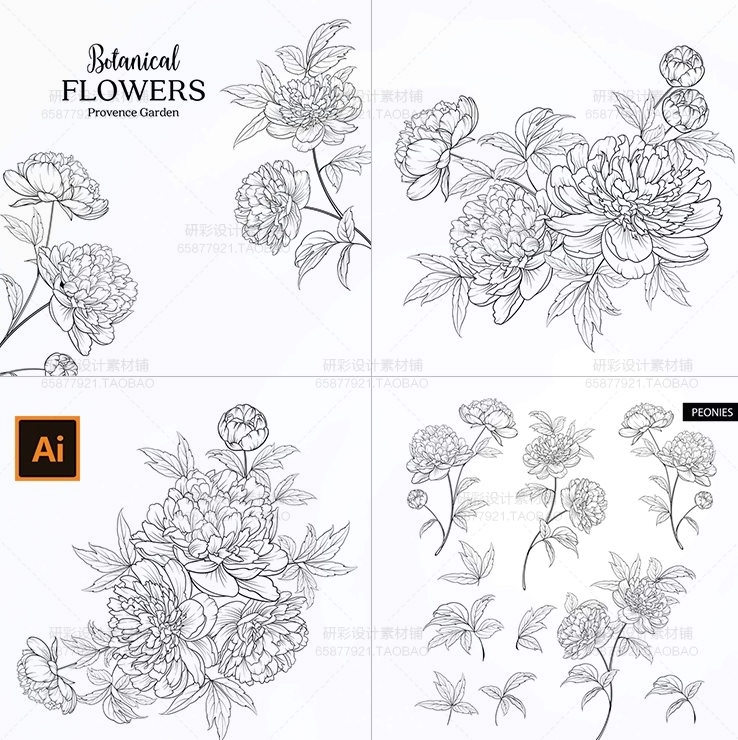 黑白手绘牡丹花卉线描花卉植物花朵线稿婚礼装饰画AI矢量素材素材
