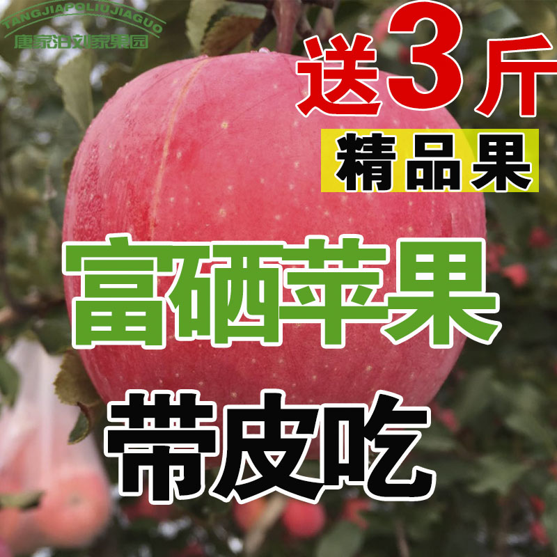 山东烟台新鲜苹果孕妇带皮吃当季脆甜红富士冰糖心胜包邮13斤