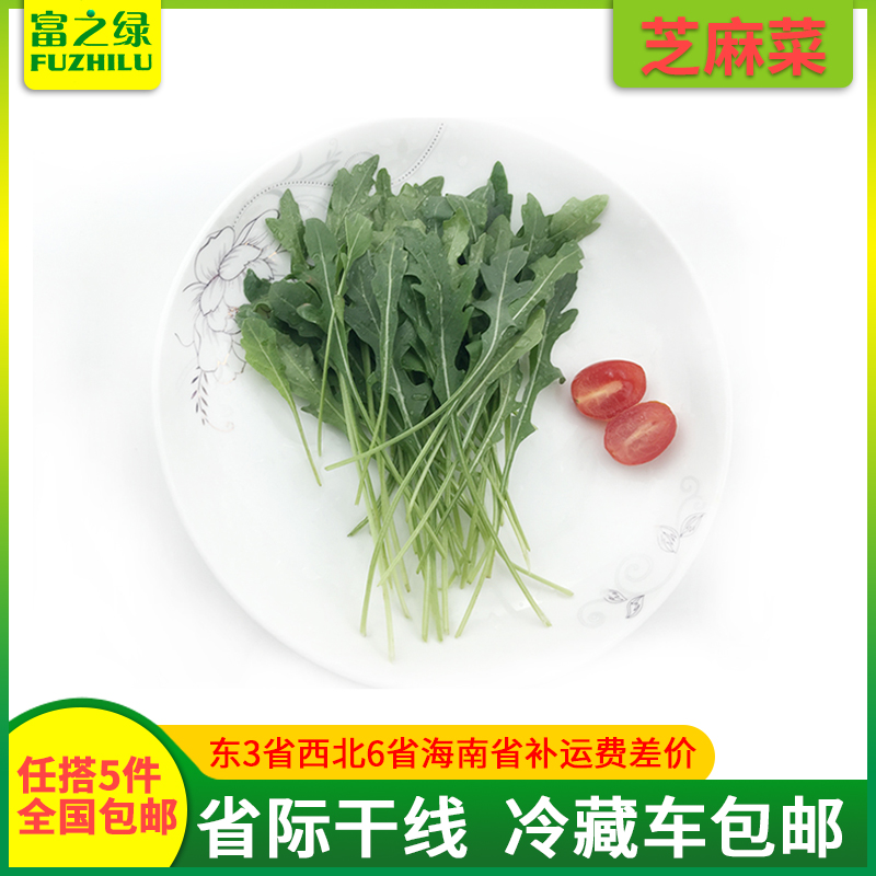 新鲜芝麻菜250克-500克【任搭5份包邮】 火箭菜 沙拉菜 产地直销