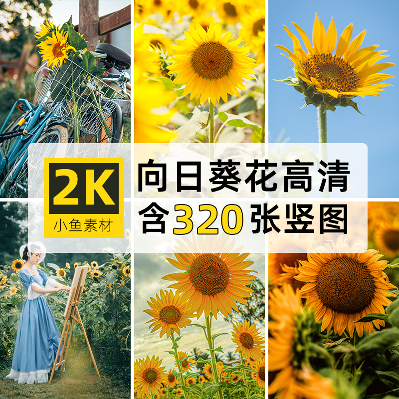 高清2K竖图片向日葵4K花海卉朵束自媒体抖音PS设计手机壁纸画素材