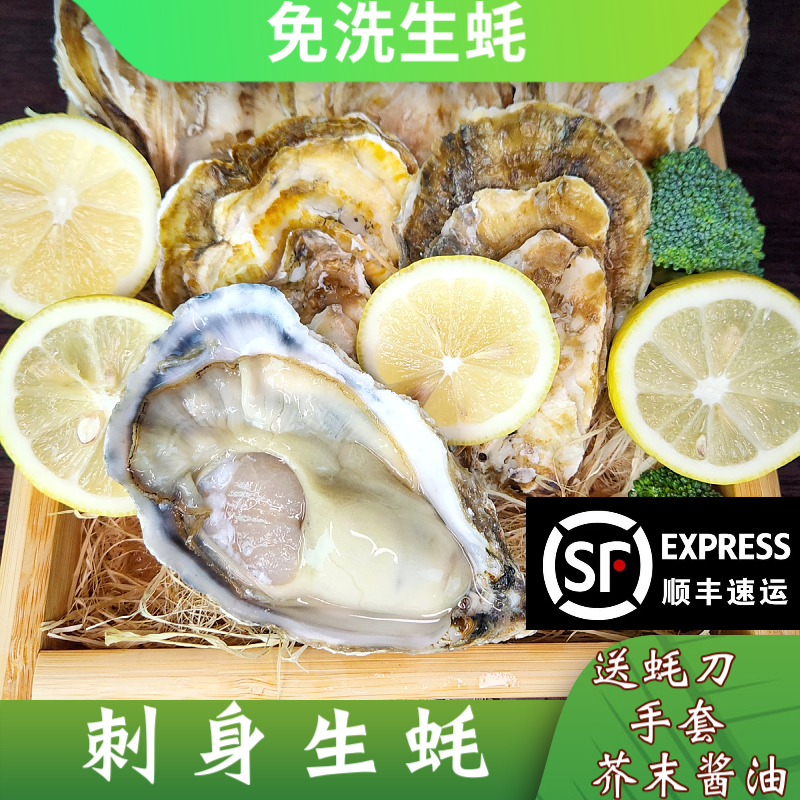 精品刺身级生蚝特大牡蛎鲜活5斤海蛎子整箱海鲜顺丰生吃新鲜烧烤