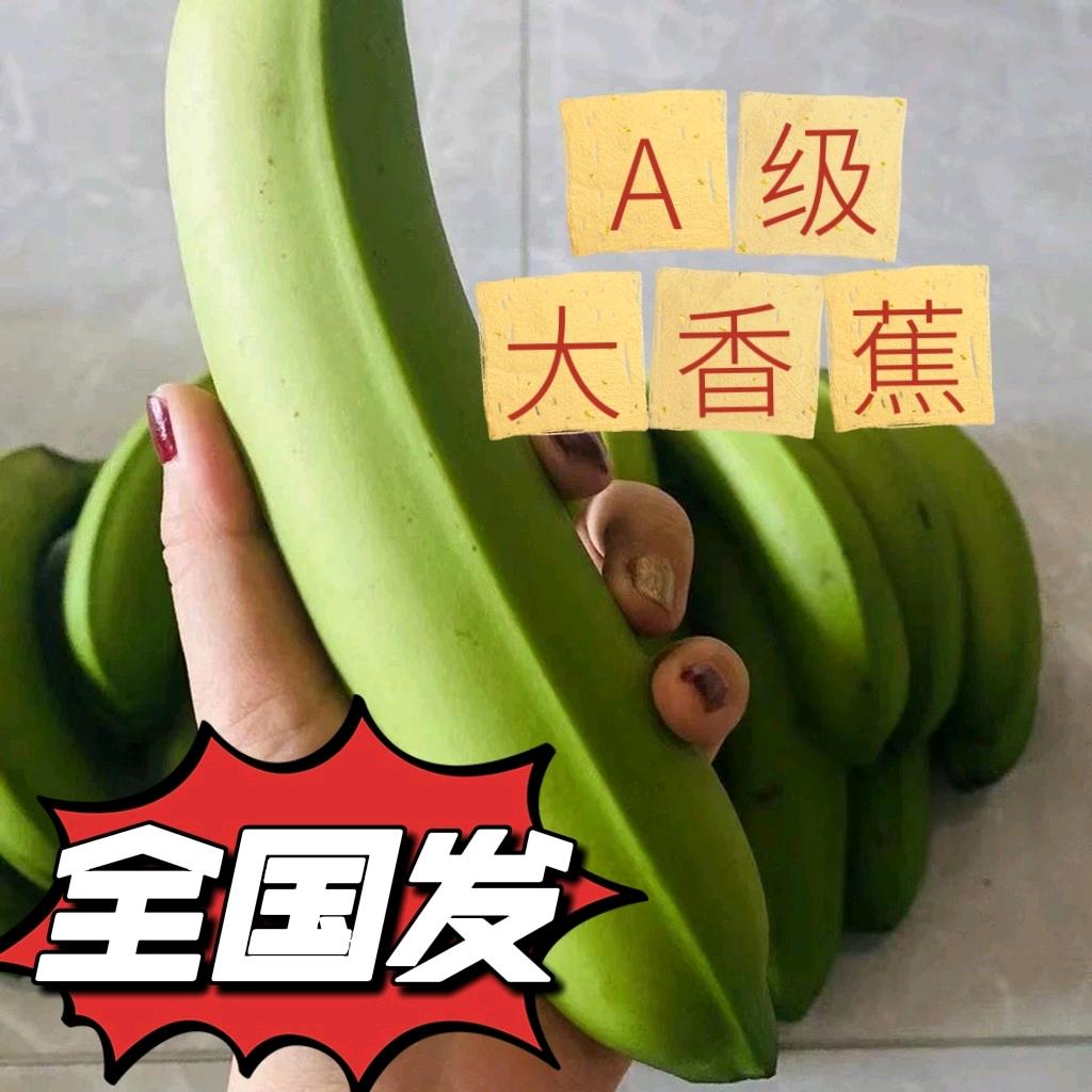 新鲜云南高山威尼斯绿皮甜大香蕉当季水果自然熟大芭蕉包邮