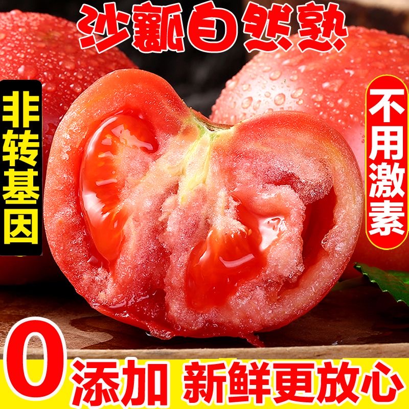 【普通快递】山东普罗旺斯西红柿新鲜蔬菜水果自然熟老品种沙瓤
