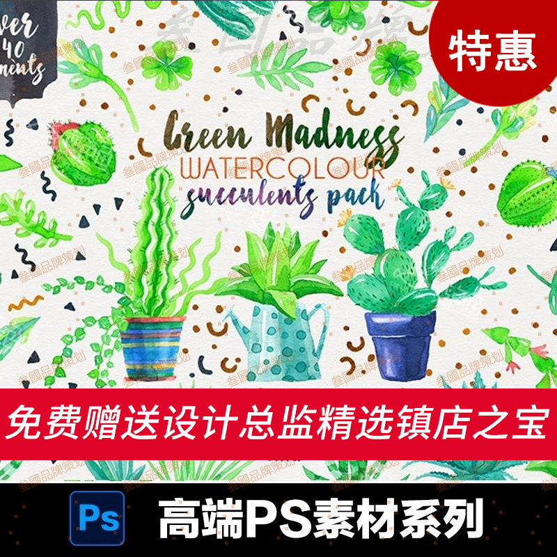 G105PNG素材国外手绘多肉植物绿色卡通盆景芦荟仙人掌插画图案