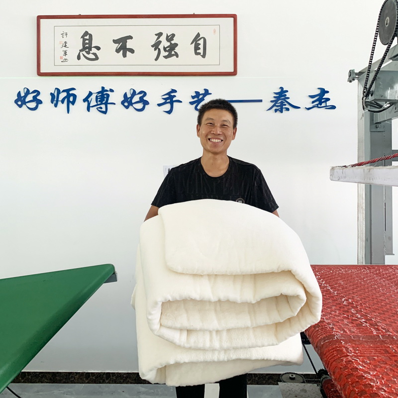 新疆棉花被棉胎被芯儿童被子手工全棉秋冬网套棉被100%纯棉阿克苏