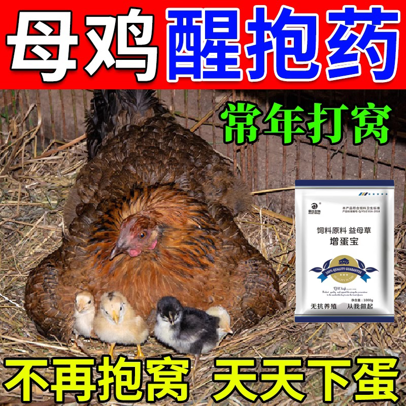 【蛋多多增蛋宝】家禽母鸡专用增产饲料鸡下蛋药鸡鸭鹅通用催蛋素