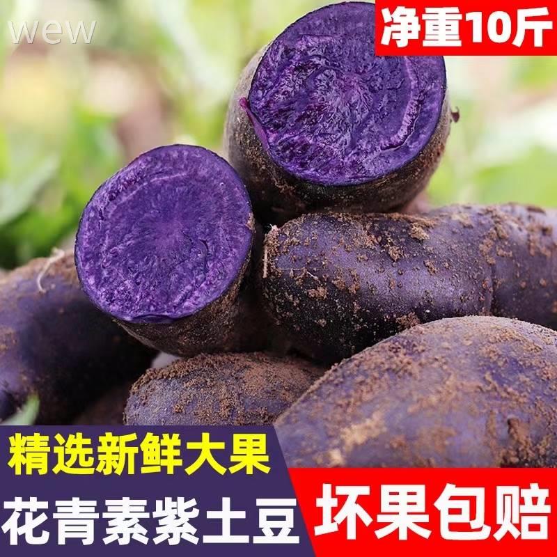 丽江高原紫土豆新鲜黑金刚云南花青黑土豆紫心马铃薯紫洋芋黑美人